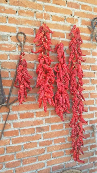 red and white brick wall with flowers