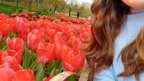 beautiful young woman with tulips in the garden