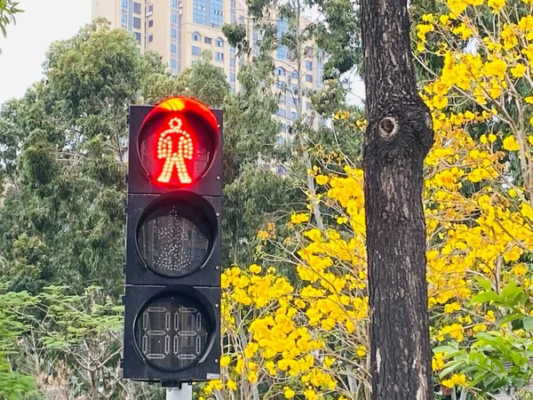 traffic light on the road