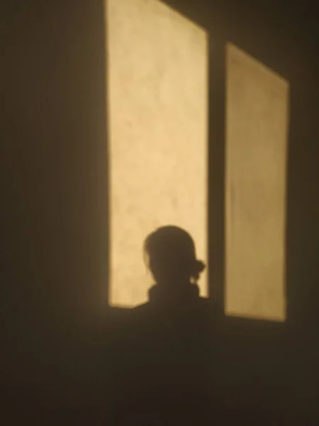 silhouette of a man in a room
