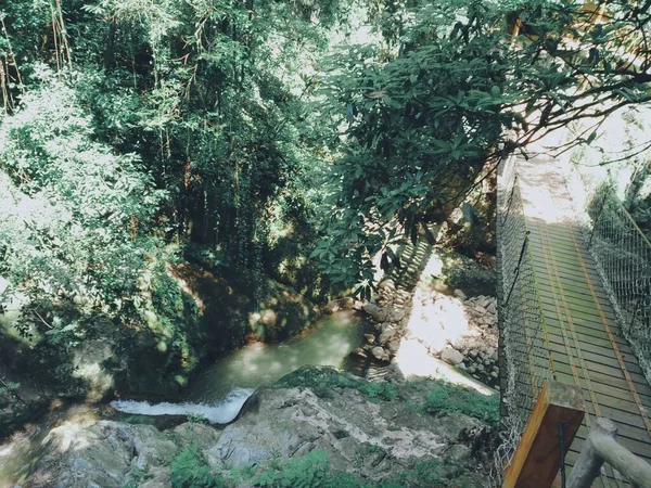 beautiful landscape with a waterfall