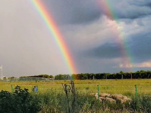 rainbow in the sky