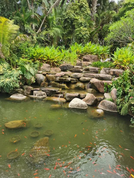 beautiful tropical garden with green leaves