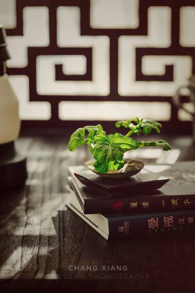 close up of a wooden table with a knife and a book