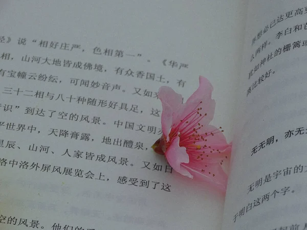 close up of a book with a flower