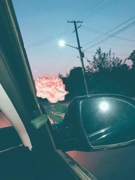 vintage car with roses