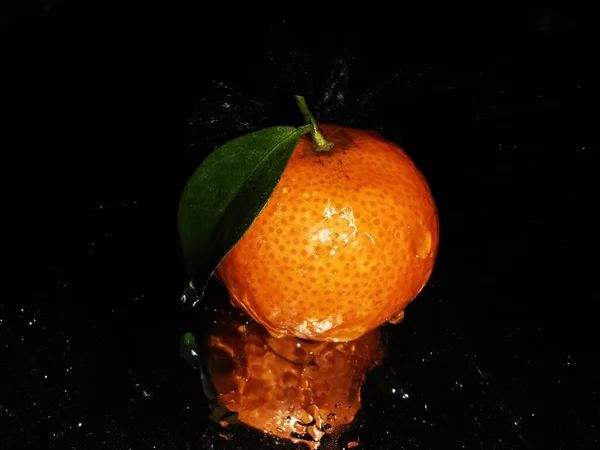 orange with water splashes on black background