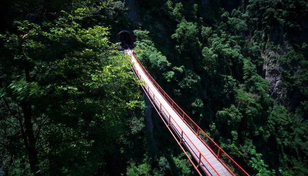 aerial view of the bridge in the forest