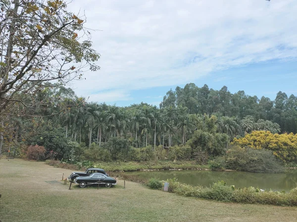 a beautiful shot of a car in the forest