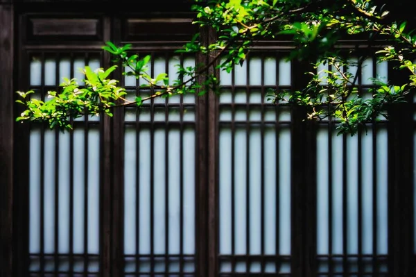 old wooden window with a green wall