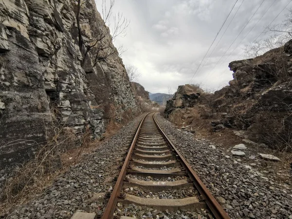 railway tracks on the road