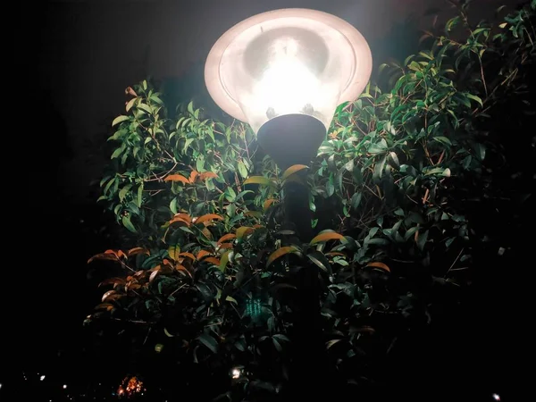 green light bulb on a black background