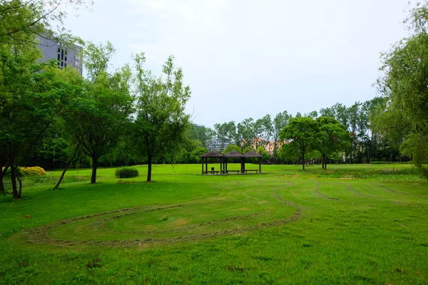 green lawn with trees and grass