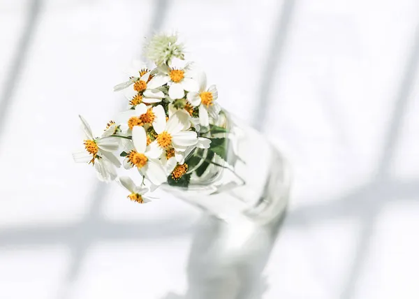 white flowers in a glass vase on a light background