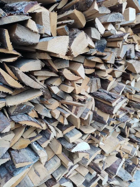 pile of wood logs in the forest