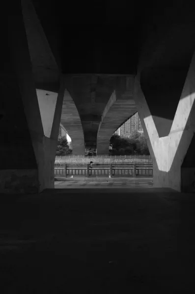 black and white photo of the bridge