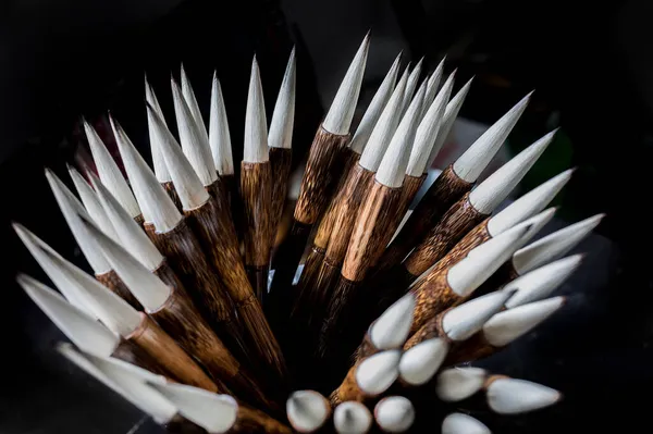 set of different makeup brushes on a black background