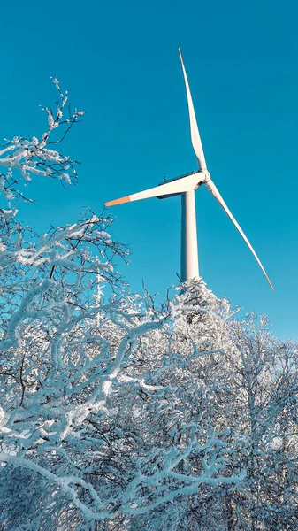 wind turbine in the snow