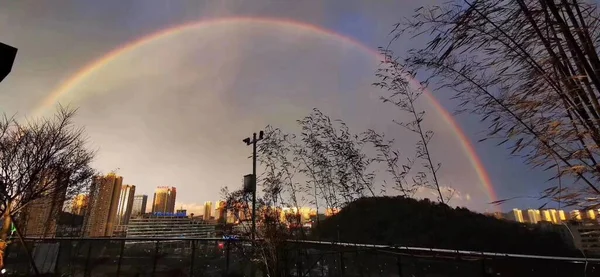 beautiful view of the city of the park in the evening