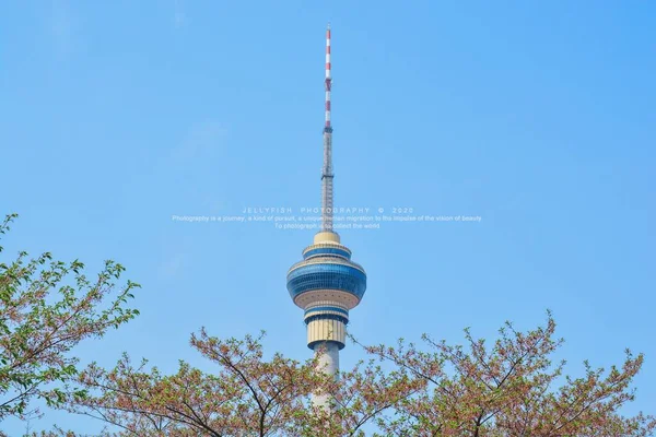 tokyo tower in berlin, germany