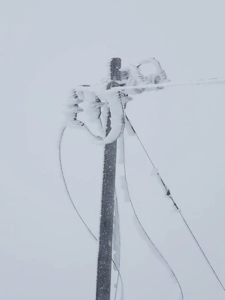 snow-covered power lines in the winter