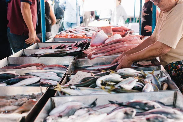 fresh fish at market