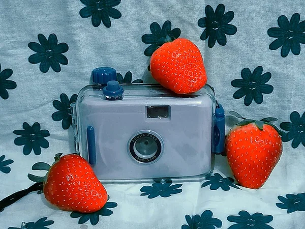 vintage camera with a red background