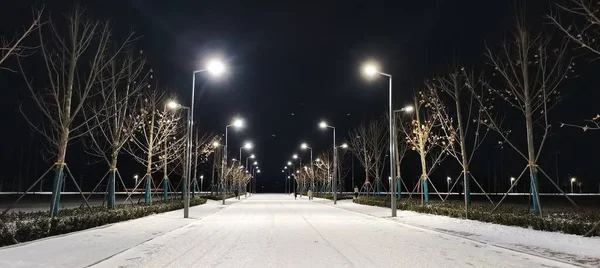 winter night city park, street lights, snow, trees, road, snowfall, christmas, new year