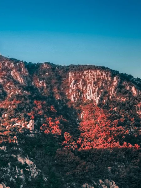 Dağlarda Bir Ağacı Olan Güzel Bir Manzara — Stok fotoğraf