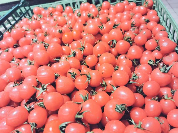 fresh tomatoes on a market stall