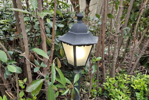 lamp in the park