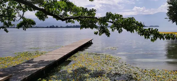 Pemandangan Indah Danau Taman — Stok Foto