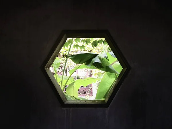 old wooden window with a green background