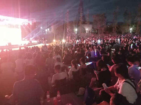 crowd of people at the concert