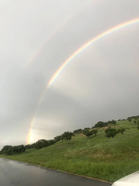 rainbow in the forest