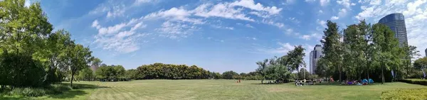 green grass and trees in the park