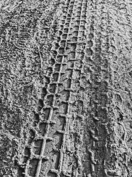 tire tracks on the road
