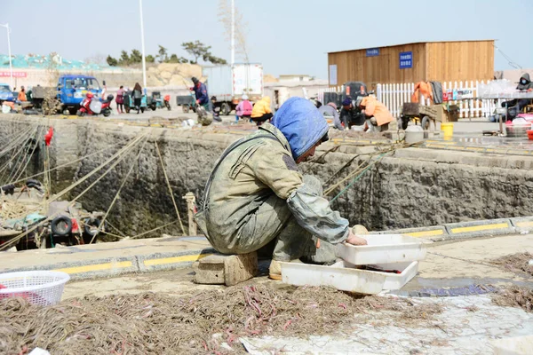 worker in a protective suit works on the street