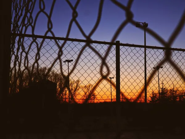 barbed wire fence in the park