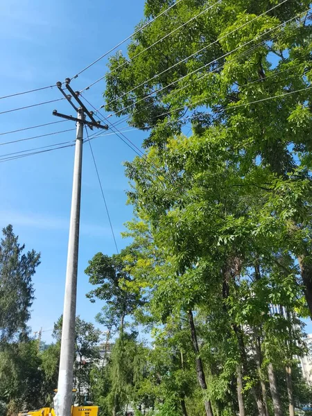 high voltage power lines in the park