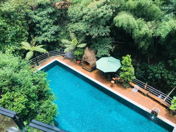 swimming pool with green grass and umbrella