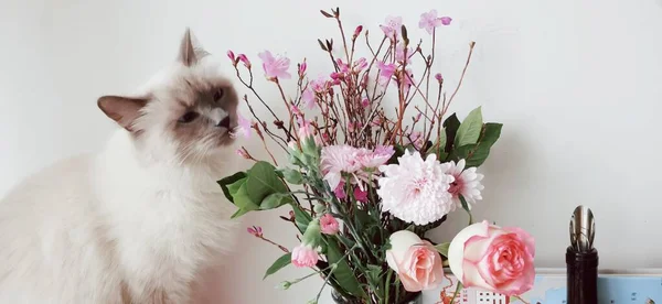 beautiful cat with flowers on white background