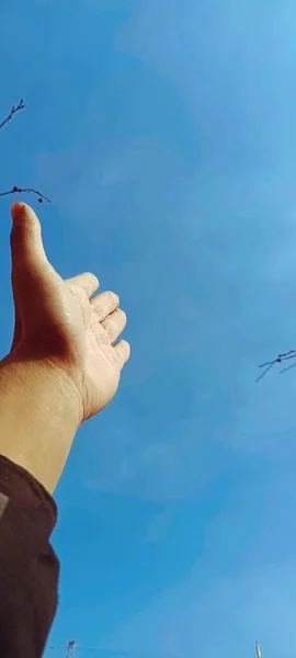 hand holding a white bird\'s hands on a blue sky background