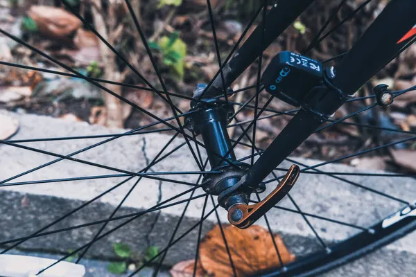 bicycle wheel with a bike