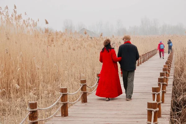 couple walking on the bridge in the park