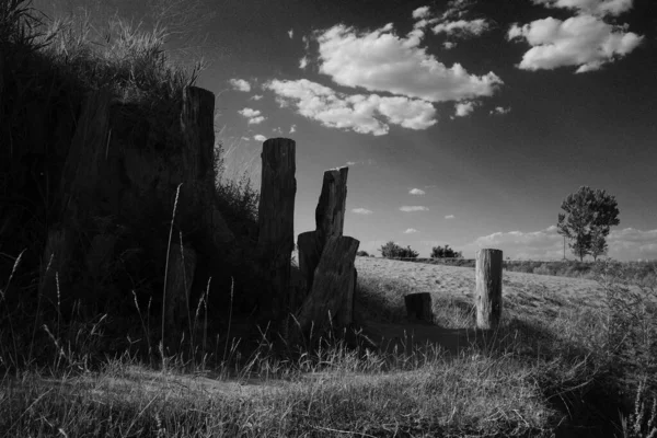 old abandoned cemetery in the city of the state of the united states