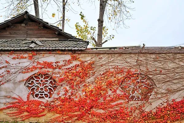 autumn leaves on the roof of the house