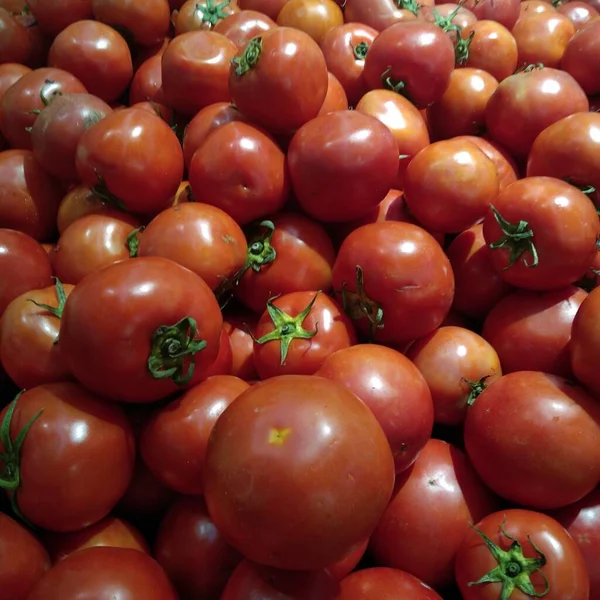 fresh tomatoes in a market