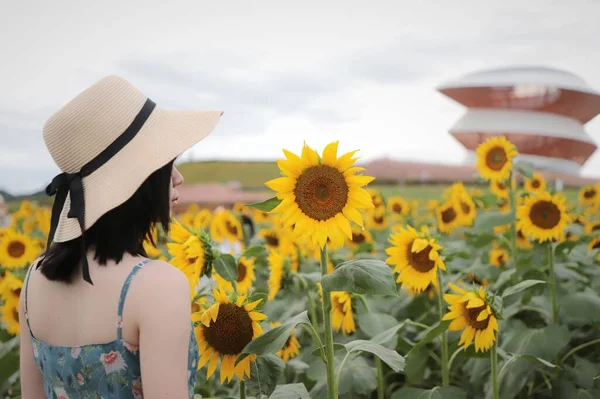 young woman with sunflower in the field