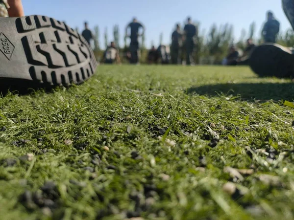 close up of a green grass with a ball on the ground